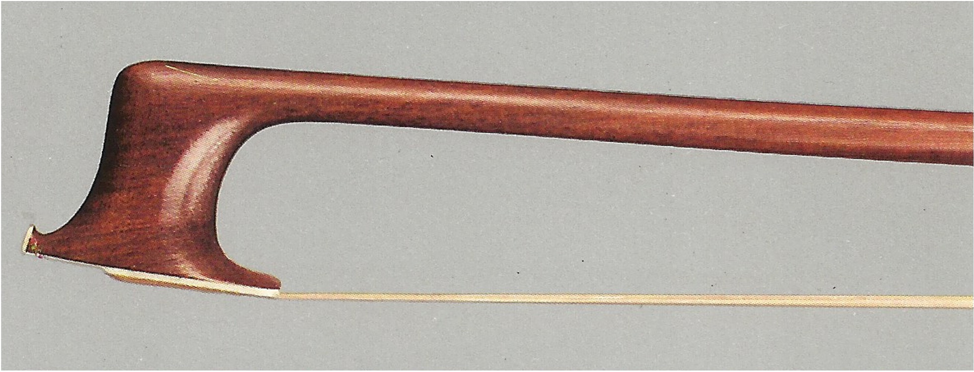 Hammerkopf